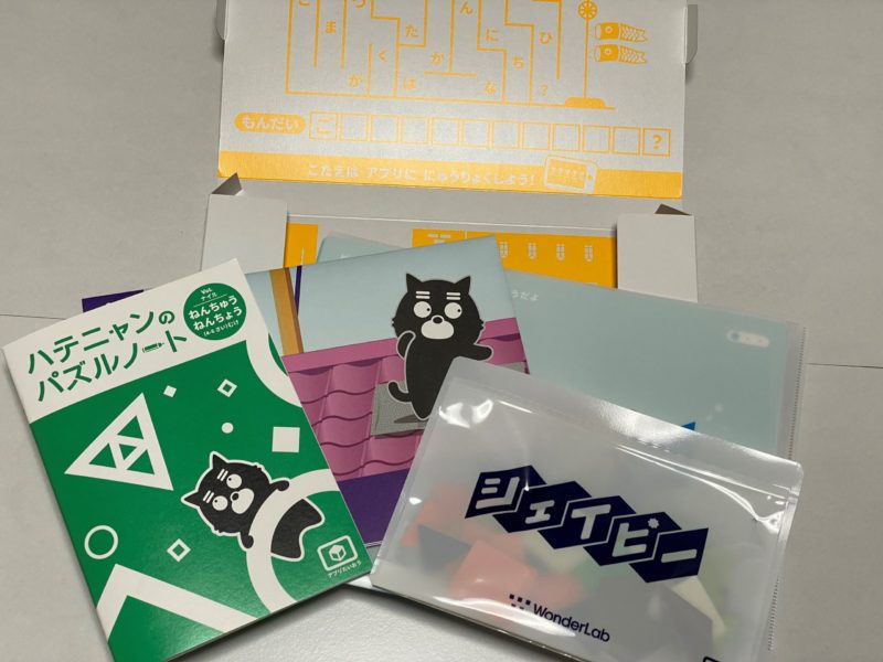 ワンダーボックスを実際使ってみた感想 公式hpでは分からない事 渋谷すくらんblog